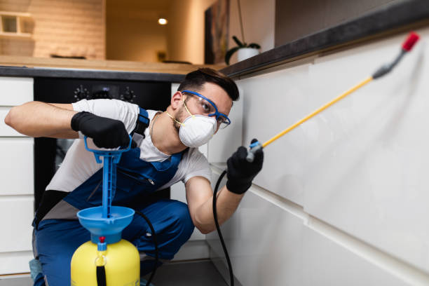 Best Mosquito Control Services  in Canutillo, TX