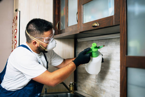 Best Pest Prevention Services  in Canutillo, TX