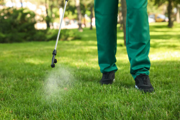 Best Flea Control Services  in Canutillo, TX
