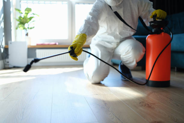 Flea Control Services in Canutillo, TX