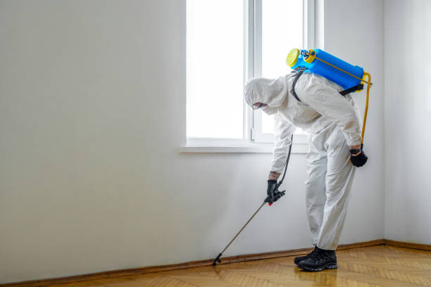 Best Exterminator Services  in Canutillo, TX