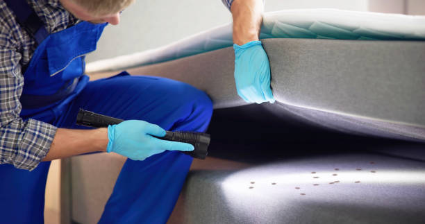 Best Pest Removal Services  in Canutillo, TX