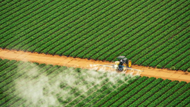 Pest Control Cost in Canutillo, TX
