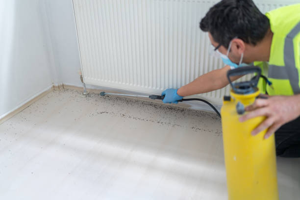 Best Pest Control for Businesses  in Canutillo, TX
