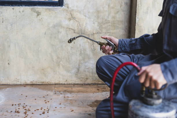Best Best Pest Control Companies  in Canutillo, TX